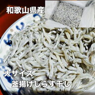 送料無料 和歌山県産 大サイズぷっくらしらす干し 1kg 大筋 無添加 おかず 手軽 簡単調理 ギフト おつま…