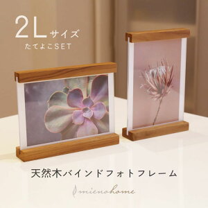 yő20%ItN[|zIׂTCY L |XgJ[h 2L A4 mieno home ʐ^ y \zylR|Xőzؐ VR CeAG i` LOi 2Zbg oC