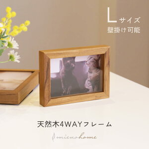 yMAX20%ItN[|z4WAYŎgĂԂtHgt[ L mieno home VR C ʐ^āy \zylR|XőzoYj uh v[g CeA k 