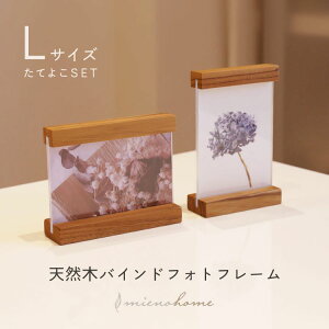 yMAX20%ItN[|zcpƉpZbgɂȂtHgt[ LTCY mieno home ʐ^ y \zylR|Xőzؐ VR k CeAG i` L