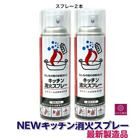 消火 スプレー 2本 最新製造品 2025年6月製造 エアゾール式簡易消火具 消火器 消火器 火消し 家庭用 厨房 飲食店 キッチン消火スプレー キッチン キャンプ 防災グッズ 防災用品 丸山製作所 防災 ※離島配送NG