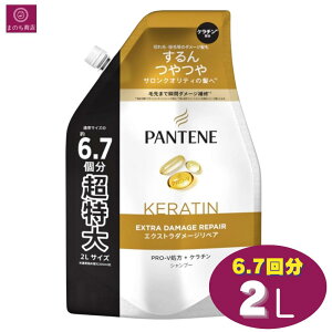 yeʁz@pe[ GNXg_[WPA Vv[ 6.7 2000mL 2L Pantene RXgR  ŋ