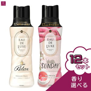 yIׂz mAI[hNX r[Y }ChtlXV[Y bNX Tf[ CmZgrW { 520mL×12{ P[X̔