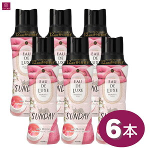mAI[hNX }ChtlXV[Y A}WG Tf[ 520mL×6{ SUNDAY 6 r[Y sN
