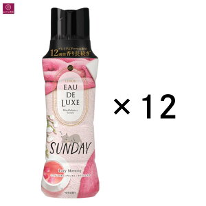 y12{Zbgz mAI[hNX }ChtlXV[Y A}WG Tf[ 520mL×12{ SUNDAY 6 r[Y sN sIj[ ~Q zCgXN