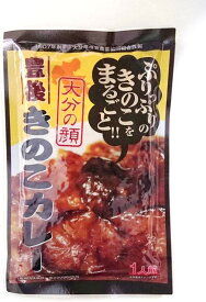 ★10袋セット★ 大分の顔　豊後きのこカレー180g×10袋【全国こだわりご当地カレー】