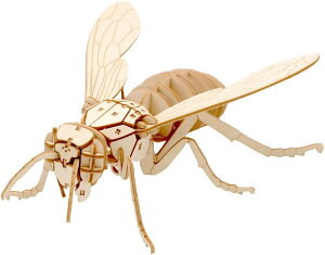 ł |PbgoOY IIXYo`y{̔^{tz