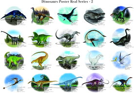 お風呂恐竜ポスター (Real Series?2)