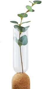 777134000 NC t[x[X ֑} VR RN KX ԕr (KX×RN)