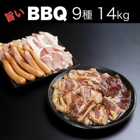 バーベキュー セット ランキング常連！ 送料無料の激安価格！ 特製タレ箸 紙皿付き 40人前(20人前×2)　リニューアル9種類 総重量14kg アウトドア 安い 屋外 格安