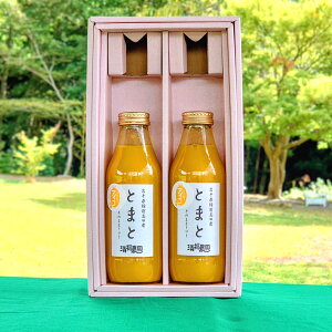 Ƃ܂ƃW[XCG[2{Zbg g}gW[X Xg[g HY Y Y ؃W[X t[eB g}g 100%W[X Zbg Z Â ~jg}g W[X hN lߍ