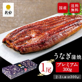 うなぎ 特大 鰻楽 国産うなぎ蒲焼 プレミアム300g 1尾 300g（2〜3人前）誕生日 ギフト ウナギ 蒲焼き お祝い 内祝い 出産祝い 誕生日祝い お礼 肉厚 プレゼント お祝い グルメ お取り寄せグルメ 敬老の日 お歳暮