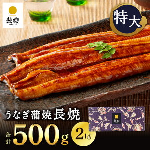 Vy {茧YȂ  TCY 2 Ε Mtg Ȃ Y Vy YȂ EiM V j oYj aj   v[g O 񂹃O