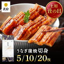 ＼丑の日8%OFFクーポン& ポイント12倍／ お中元 国産 ギフト プレゼント 鰻楽 国産 うなぎ蒲焼 切身5枚 10枚 20枚 国産うなぎ 国産 蒲焼き ウナギ 内祝い 出産祝い 誕生日祝い お礼 お見舞い お祝い プレゼント グルメ お取り寄せグルメ 丑の日