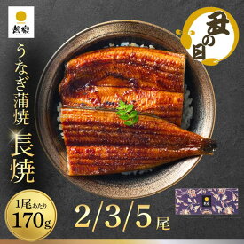 【ポイント3倍：丑の日直前特典】7/20(金)18:00～26(日)23:59 ＆【丑の日割5％OFF】【お中元 ギフト】国産うなぎ蒲焼 鰻楽公式 長焼 大サイズ170g（2尾・3尾・5尾）送料無料 冷凍 宮崎・鹿児島産 土用の丑の日 夏ギフト うなぎ プレゼント 高級 グルメ スタミナ