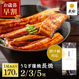 【お歳暮 早割 8%OFFクーポン&P10倍】 うなぎ 国産 ギフト 鰻楽 蒲焼 長焼 170g 選べる 2尾 3尾 5尾 お歳暮 宮崎 鹿児島 unagi 真空パック 冷凍 送料無料 贈答用 内祝い お取り寄せ プレゼント