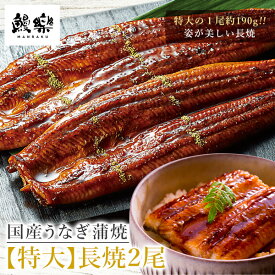 楽天市場 鰻楽 父の日の通販