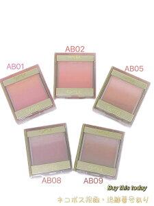 Ti GNZ(EXCEL) I[eBbN ubV `[NJ[(AB01/AB02/AB05/AB08/AB09) 5ޑI IWiuVt@lR|XEǐՔԍ