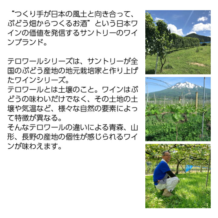 楽天市場】サントリー フロムファーム 高山村 シャルドネ 2022 750ml 