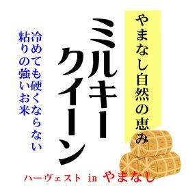 楽天市場 山梨県 ミルキークイーンの通販