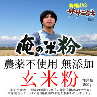 俺の米粉 二代目 農薬不使用 (有機JASのササニシキ) 無添加 玄米粉 500g