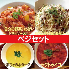 【送料無料】スープ＆パスタソース ベジセット 【ナチュラルグレース】【クール便】【送料無料】