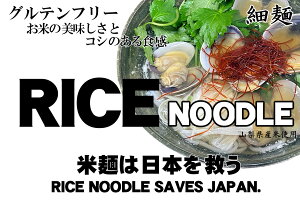 Oet[ Rice Noodle Ė˂͓{~ Zbg Ă߂10H/Oet[500mlx2{/Oet[1܁i8gx8j
