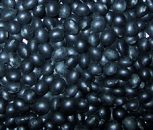 kCY 500g