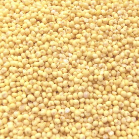 【事業所配送（個人宅不可）】もちきび 中国産 業務用 20kg (10kgx2)