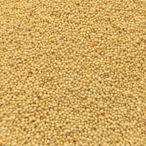 y܂ƂߔzA}TX ChY Ɩp 20kg (10kgx2)