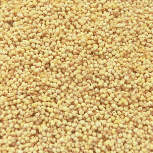 �y���Ə��z���i�l��s�j�z�������� �����Y �Ɩ��p 20kg (10kgx2)