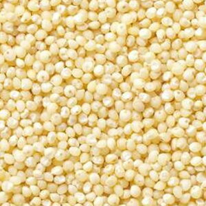 �y���Ə��z���i�l��s�j�z���邿 ���� �����Y �Ɩ��p 20kg (10kgx2)