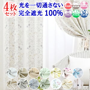 y VJ[e z J[e [XJ[e 4Zbg ՌJ[e 1 ؒʂȂ SՌ 100  Ȃ k  ~[ [X I[_[J[e ^bZ 䒲t