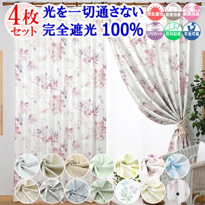 y VJ[e z J[e [XJ[e 4Zbg ՌJ[e 1 ؒʂȂ SՌ 100  Ȃ k  ~[ [X I[_[J[e ^bZ 䒲t