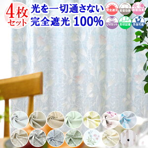 y VJ[e z J[e [XJ[e 4Zbg ՌJ[e 1 ؒʂȂ SՌ 100  Ȃ k  ~[ [X I[_[J[e ^bZ 䒲t