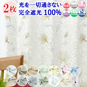 y VJ[e z J[e ՌJ[e 1 2g ؒʂȂ SՌ 100 k  I[_[J[e ^bZ 䒲tbNt h Չ ՔM fM ۉ UVJbg [X