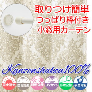 yVJ[e  Ռ ՑzJ[e  ς_ ̓^Cv OCi[t k  ՌJ[e SՌ100 Ռ 1 [XN[ 