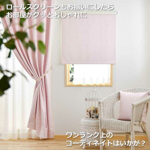 yVJ[ez [XN[ [J[e J[e Ռ 1 ؒʂȂ!SՌ h fM I[_[ k   80fUC [ J[e[ t Ԏd