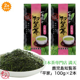 鹿児島茶 知覧茶 「平家」 2本セット 100g×2 かごしま茶 知覧茶 新茶 お茶 緑茶 日本茶 茶葉 chiran ギフト 本格 おいしい 手軽 おうちカフェ プレゼント お祝い お返し お歳暮 来客 法事 メール便送料無料 2026年産 新茶 父の日 母の日