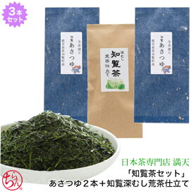 人気品種「知覧茶セット」知覧深むし荒茶仕立て2P＋あさつゆ知覧茶こだわりセット 鹿児島茶 かごしま茶 ちらん茶 日本茶 緑茶 茶葉 新茶 2020年度産 メール便送料無料 父の日