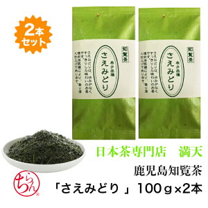 知覧茶 ちらん茶 さえみどり 100g×2本 鹿児島茶 日本茶 緑茶 国産 ギフト お歳暮
