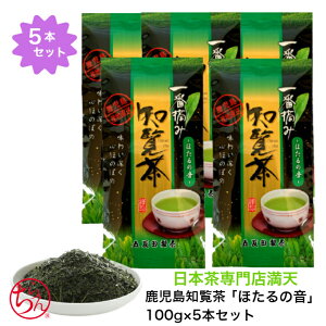  m uق̉v 100g×5{ ܒ V  Β { t chiran Mtg {i  y JtF v[g Ε j Ԃ q @ [֑