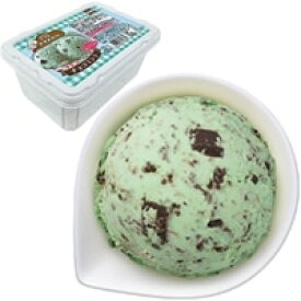 【冷凍】小さなアイス屋さん チョコミント 1L (ロッテ/冷凍アイス/アイスクリーム)　業務用