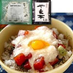 yⓀzⓀ܈LB 40G@20H (}R[t[Y(}g/_YHiyⓀz/ؗ) Ɩp