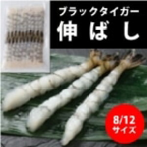 yⓀztL΂(BT)8/12 (ɗm/) Ɩp