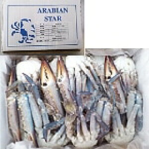 yⓀzV[Cg) ؂킽Jj2S(31/40) 1KG (V[ECg/) Ɩp