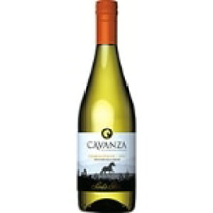 y①zT^E^) J@T Vhl 750ML (t`F&BWp/ăC) Ɩp