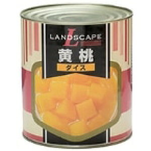 y퉷zhXP[v)_CX 1 (}bNXg[fBO/_Yʋl) Ɩp