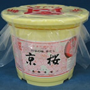 y퉷zJNCV) X(M) 4KG (Ζ얡X/X/eʃ^Cv) Ɩp