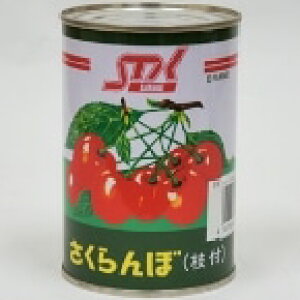 y퉷zڎ}t(L) 4 (Xg[ʋl/_Yʋl) Ɩp